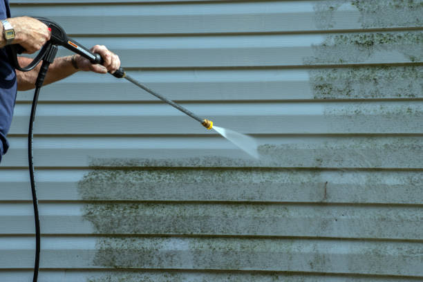 Professional Pressure Washing in Bridgewater, VA